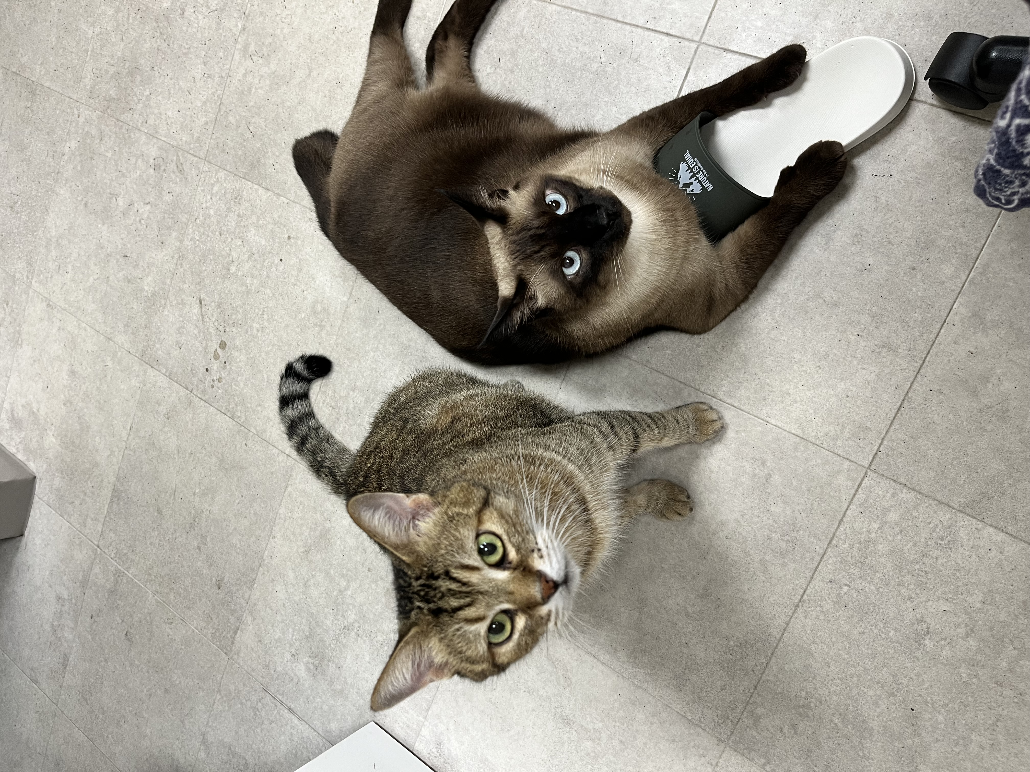 今すぐお問い合わせを！